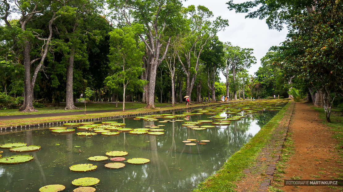 Botanická zahrada Pamplemousses (Mauritius)